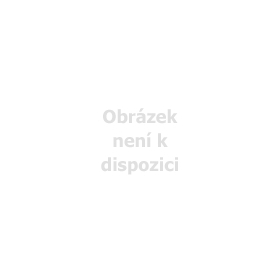 IPC-HDW5442TM-ASE-S3 BLACK - 2,8 mm