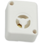 MINI 83 white