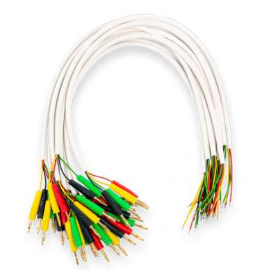 PI-BT10